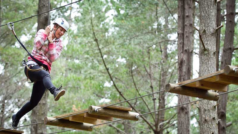 Tree Adventure's 'High Flyer' option is perfect for confident first timers right through to hardened adrenaline junkies looking for a thrilling adventure high in the tree canopy.